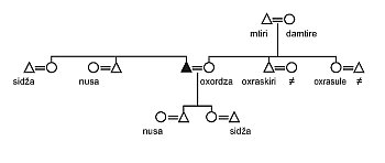 Kinship diagram