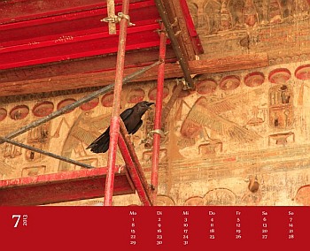 2-year photo calendar